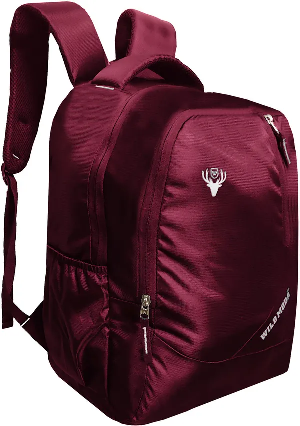 Maroon_Polyester_Self_Design_Backpack_For_Boys_&_Girls_(19.5_X_12.5_X_5.5_In)
