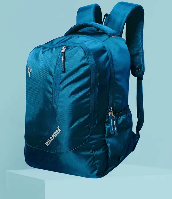 Blue_Polyester_Self_Design_Backpack_For_Boys_&_Girls_(19.5_X_12.5_X_5.5_In)