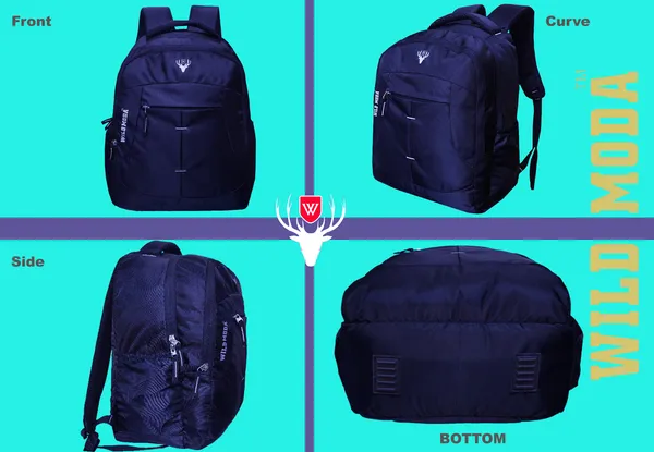 Blue_Polyester_Solid_Laptop_Backpack_For_Boys_&_Girls_(19.5_X_12.5_X_5.5_In)