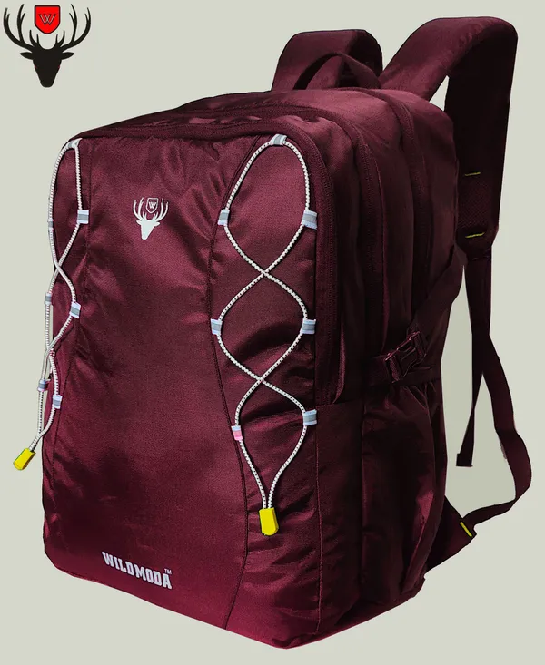 Maroon_Polyester_Solid_Laptop_Backpack_For_Boys_&_Girls_(19_X_12_X_9.5_In)