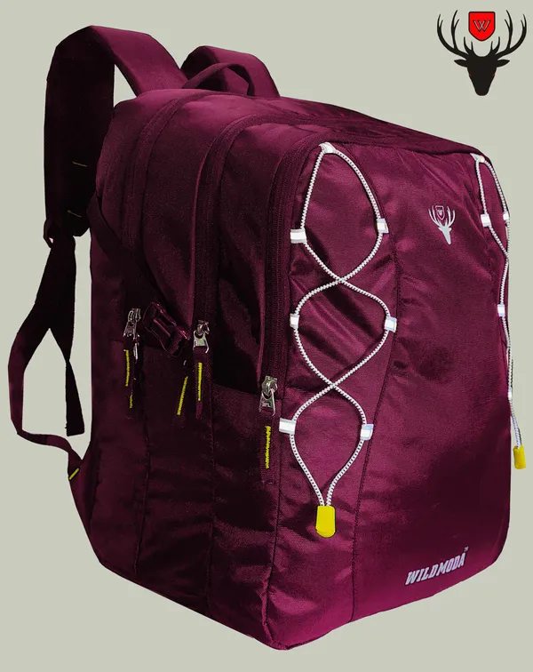 Maroon_Polyester_Solid_Laptop_Backpack_For_Boys_&_Girls_(19_X_12_X_9.5_In)