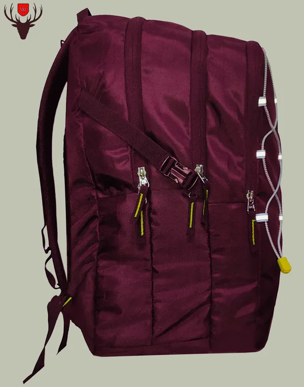 Maroon_Polyester_Solid_Laptop_Backpack_For_Boys_&_Girls_(19_X_12_X_9.5_In)