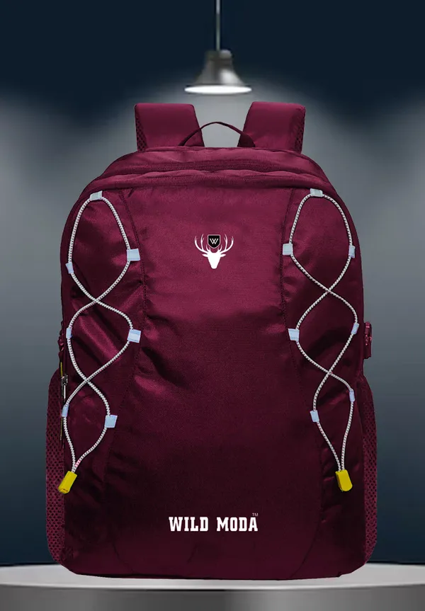 Maroon_Polyester_Solid_Laptop_Backpack_For_Boys_&_Girls_(19_X_12_X_9.5_In)