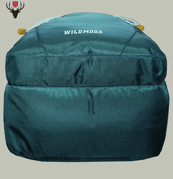 Blue_Polyester_Solid_Laptop_Backpack_For_Boys_&_Girls_(19_X_12_X_9.5_In)