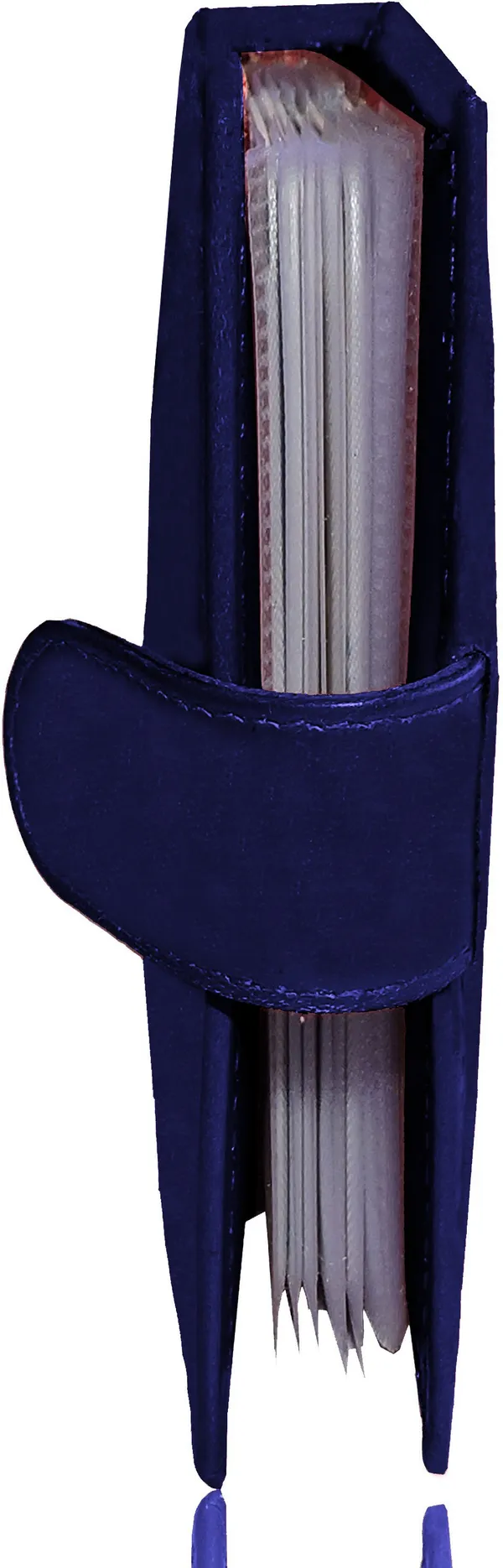 Blue_Genuine_Leather_Card_Holder_For_Men_(110_X_75_Mm)_(20_Card_Slots)