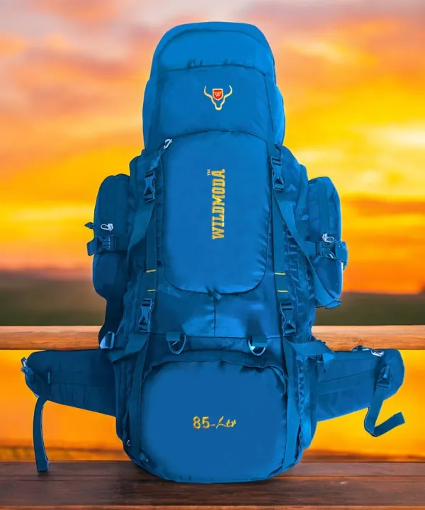 Multicolor_Polyester_Rucksack_For_Men_&_Women_(35_X_21_In)