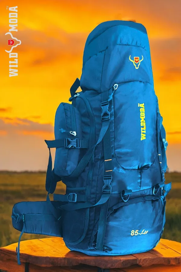 Multicolor_Polyester_Rucksack_For_Men_&_Women_(35_X_21_In)