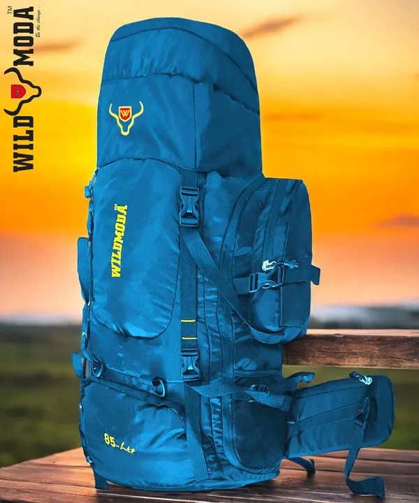 Multicolor_Polyester_Rucksack_For_Men_&_Women_(35_X_21_In)