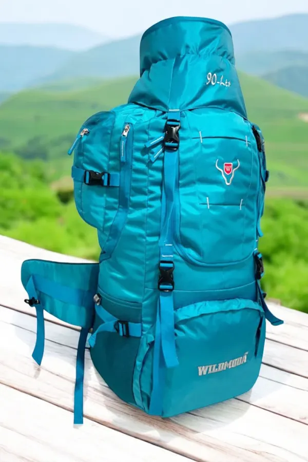 Multicolor_Polyester_Rucksack_For_Men_&_Women_(35.5_X_14_In)