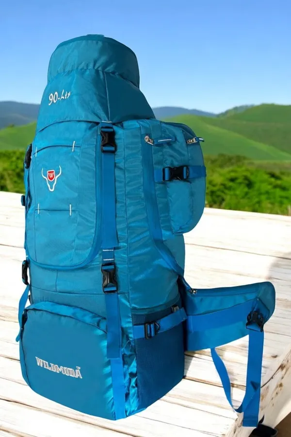 Multicolor_Polyester_Rucksack_For_Men_&_Women_(35.5_X_14_In)