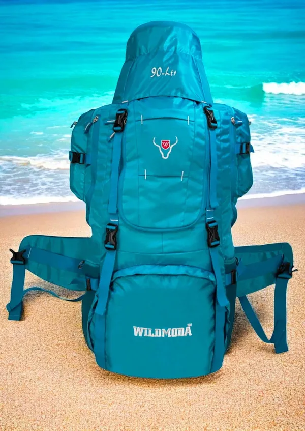 Multicolor_Polyester_Rucksack_For_Men_&_Women_(35.5_X_14_In)