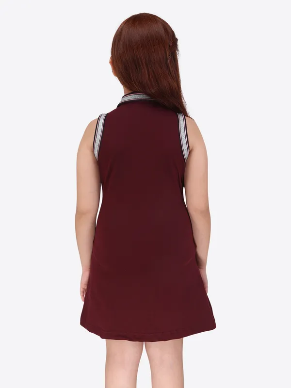 Plum_Fit_and_Flare_Shirt_Collar_Dress_for_Girls