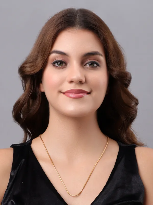 Dainty_Gold_Plated_Snake_Chain_-_Sophisticated_Everyday_Wear