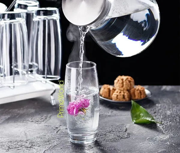 Premium_310ML_Water_Glasses_Set_of_6_pcs_-_Tall_Drinking_Highball_Glasses_for_-_Juice,_Cold_Drink,_Mojito,Cocktail,_Lead-Free,_Perfect_for_Home,_Restaurants_and_Parties