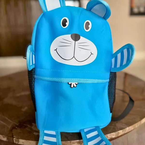 Light_Blue_Premium_Cute_Cartoon_Style_Backpack_For_Kids