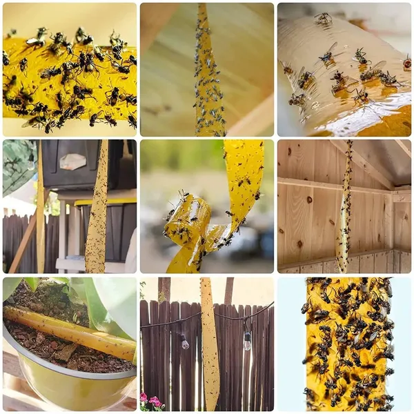 _Fly_Catch_Trap_Ribbon_Strip_Tape,_Sticky_Super_Fly_Catch_Trap_Hanging,_Paper_Adhesive_Rolls_For_Fruit_Flies,_Bug,_Insect,_Pest,_Mosquito,_Plant,_Home,_Non-Toxic_&_Disposable_(Fly_Catch_Trap)
