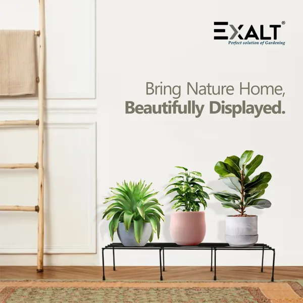 EXALT_Set_Of_4_Galvanized_Plant_Stands_For_Outdoor_Balcony_(24_Inch)