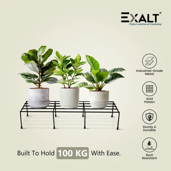 EXALT_Set_Of_4_Galvanized_Plant_Stands_For_Outdoor_Balcony_(24_Inch)