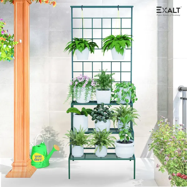 3-Tier_Metal_Plant_Stand_for_Home_&_Balcony_|_Space-Saving_Iron_Planter_Stand