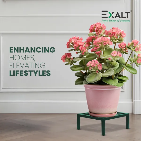 Pack_Of_4_Bottle_Green_Square_Plant_Stands_For_Balcony_Heavy_Road