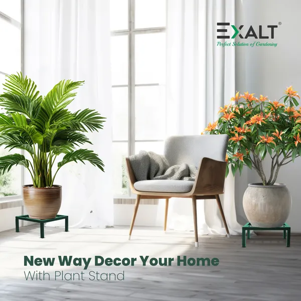 Pack_Of_4_Bottle_Green_Square_Plant_Stands_For_Balcony_Heavy_Road