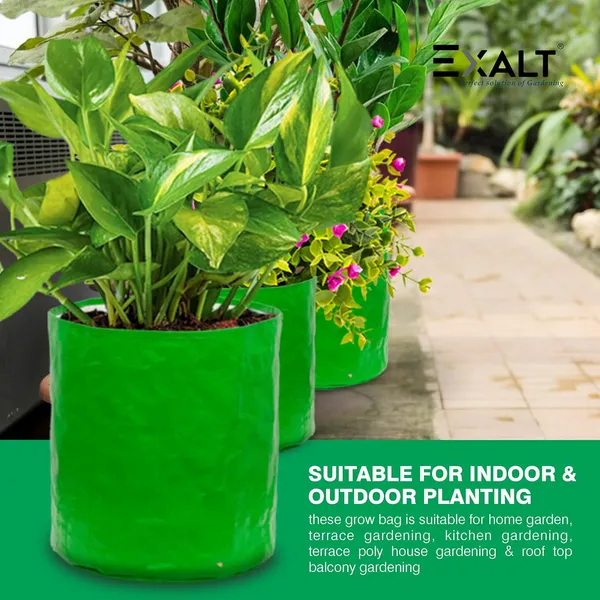 Pack_Of_5_Green_Premium_Grow_Bag_Uv_Protected_For_Vegetable_And_Flower_Gardening