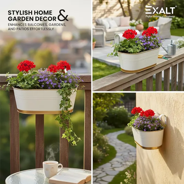 EXALT_Anti-Rust_Balcony_Hanging_Flower_Pot_(White_Gold_Pack_of_5)
