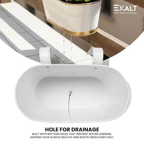 EXALT_Anti-Rust_Balcony_Hanging_Flower_Pot_(White_Gold_Pack_of_5)