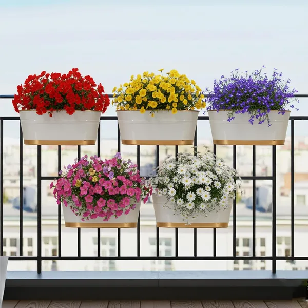 EXALT_Anti-Rust_Balcony_Hanging_Flower_Pot_(White_Gold_Pack_of_5)