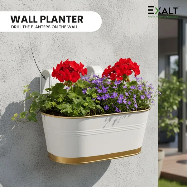 EXALT_Anti-Rust_Balcony_Hanging_Flower_Pot_(White_Gold_Pack_of_5)