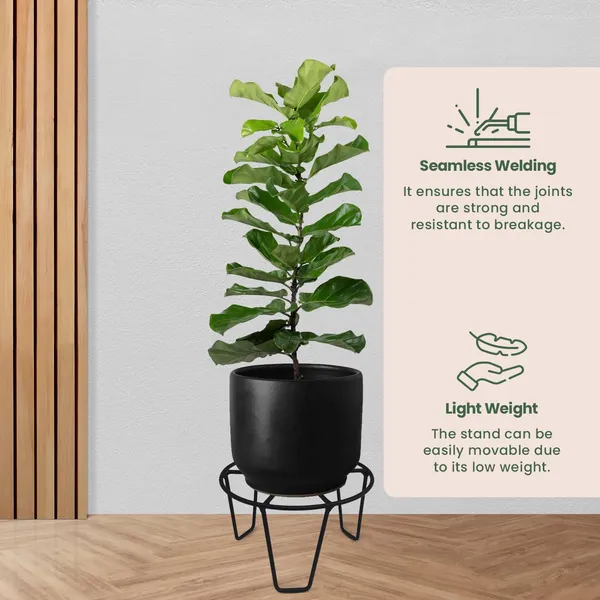 EXALT_Round_Galvanised_Metal_Flower_Pot_Holder(Pack_of_4)