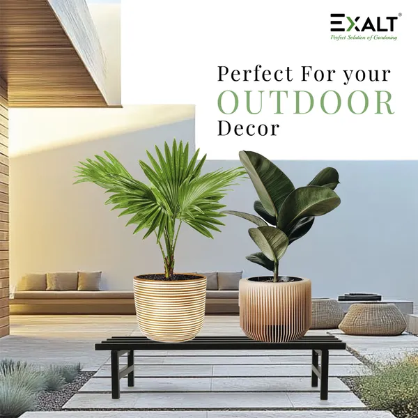 EXALT_Plant_Stand_for_Outdoor_Balcony_Set_of_2_|_76_cm_Length_|_Suitable_for_Balcony,_Garden_&_Home_Decor