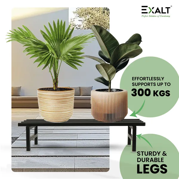 EXALT_Plant_Stand_for_Outdoor_Balcony_Set_of_2_|_76_cm_Length_|_Suitable_for_Balcony,_Garden_&_Home_Decor