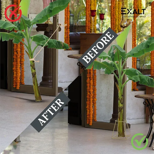 EXALT®_Iron_Banana_Plant_Stand_(Golden)_(Pack_of_2)