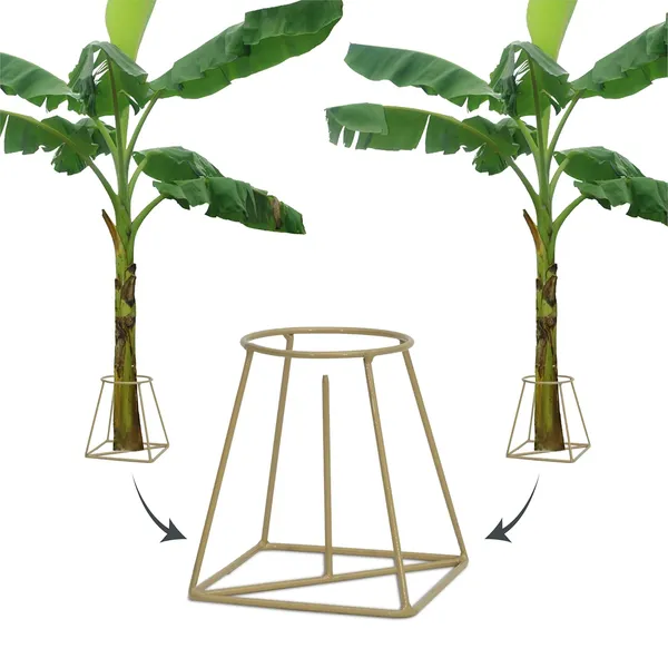 EXALT®_Iron_Banana_Plant_Stand_(Golden)_(Pack_of_2)