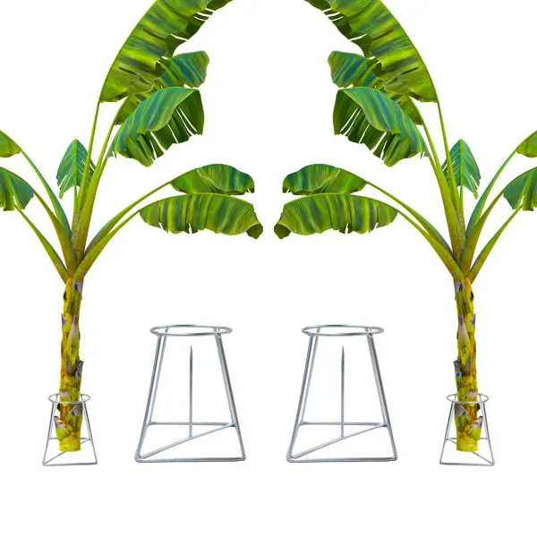 EXALT®_Iron_Banana_Plant_Stand_(Silver)_(Pack_of_2)