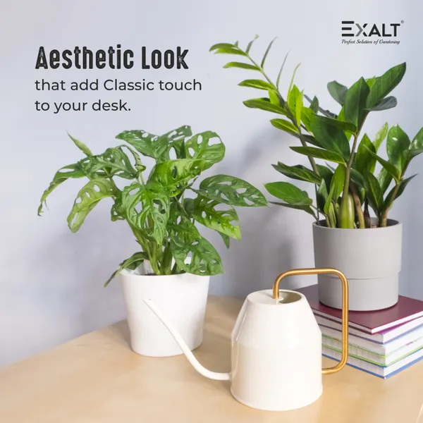 Exalt_Watering_Can_1_liter