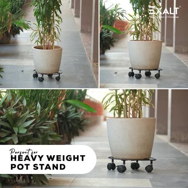 Pack_of_4_Round_plant_stand_with_Wheels