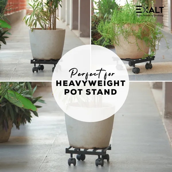 Pack_Of_4_Square_Plant_Stand_With_Wheels