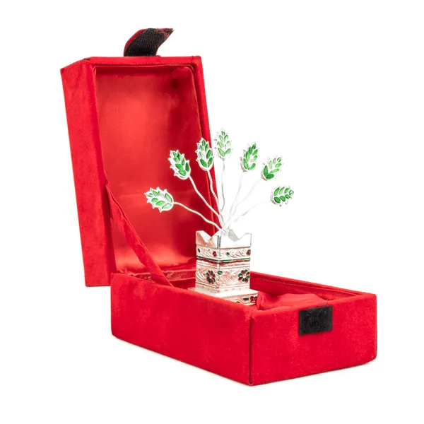 SQUARE_TULSI_MEENA