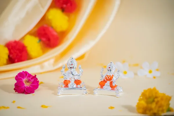 LAXMI_GANESH_MEENA