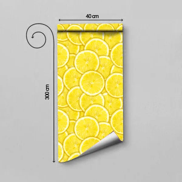 Graceful_Homes_Decorative_Wallpaper_(304_Cm_X_45_Cm)