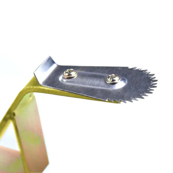 Gold_Iron_Premium_&_Elegant_Table_Fit_Coconut_Scraper_Patta