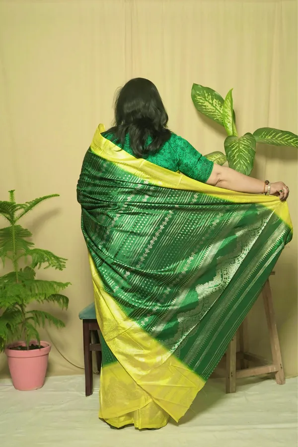 Green_Dola_Silk_Foil_Printed_Saree_With_Unstitched_Blouse_Piece_|_For_Women
