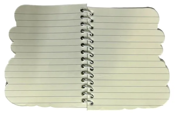 Multicolor_Dinosaur_Notebook_70_Pages