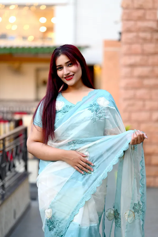 Light_Blue_Crystal_Organza_Premium_Embroidered_Work_Saree_For_Women