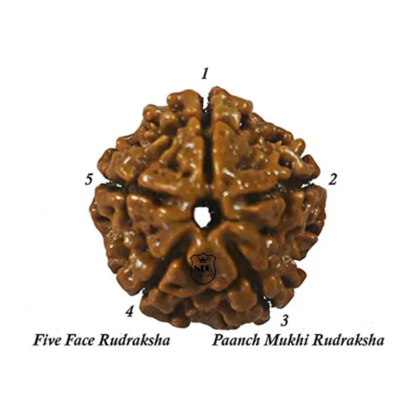 NEO_CLASSIC_Original_8mm_Rudraksha_Mala_|_108_Natural_Rudraksha_Beads_with_Lab_Certificate_|_Jaap_Mala_for_Meditation,_Yoga,_Prayer_&_Spiritual_Wear_|_Unisex