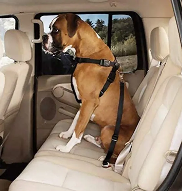 3-in-1_Dog_Car_Seat_Belt_|_Dog_Short_Leash_|_Pet_Car_Harness_Pet_Safety_Leash_for_Dogs_&_Cats
