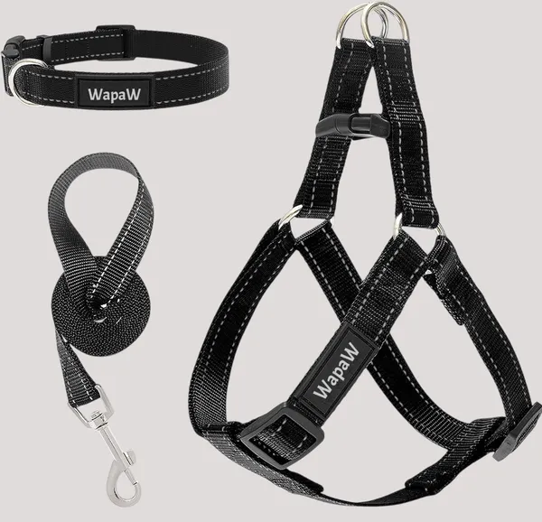 Black_No_Pull_Dog_Harness_|_Step_In_Reflective_Dog_Collar_Harness_And_Leash_Combo_For_Dogs_-_Collar_+_Leash_+_Harness