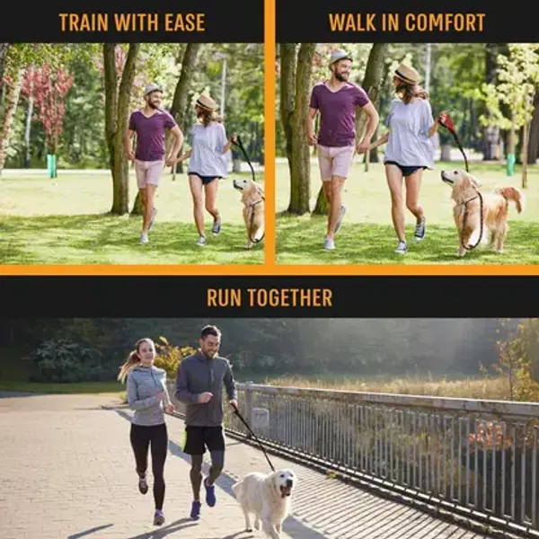 Heavy_Duty_Nylon_Dog_Leash_|_Anti_Slip_Padded_Handle_Long_Dog_Leash_|_Highly_Reflective_Leash_for_Dogs_|_Dog_Rope_for_Medium_&_Large_Dogs_|_Dog_Training_Leash_-_5_Feet